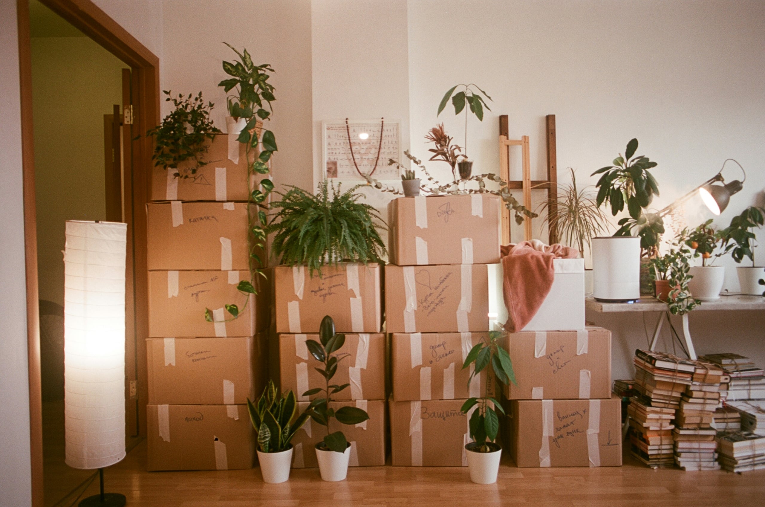 How to Pack for a Move Without Losing Your Mind
