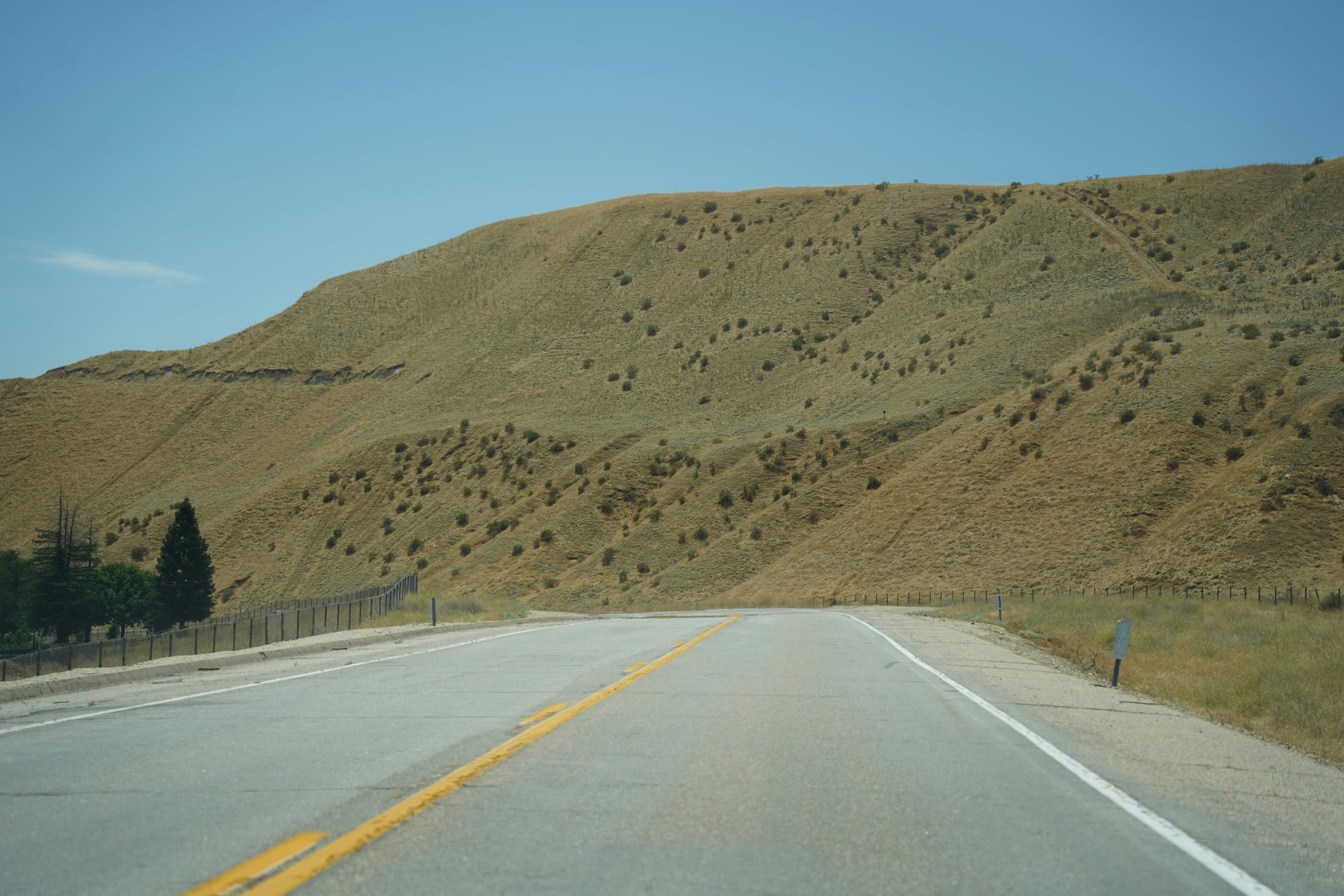 Best Neighborhoods in Bakersfield for Families (2026 Guide)
